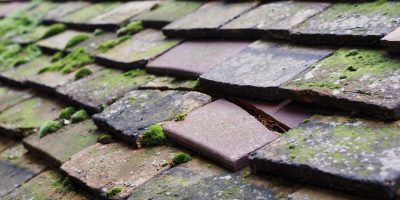 Henlow roof repair costs
